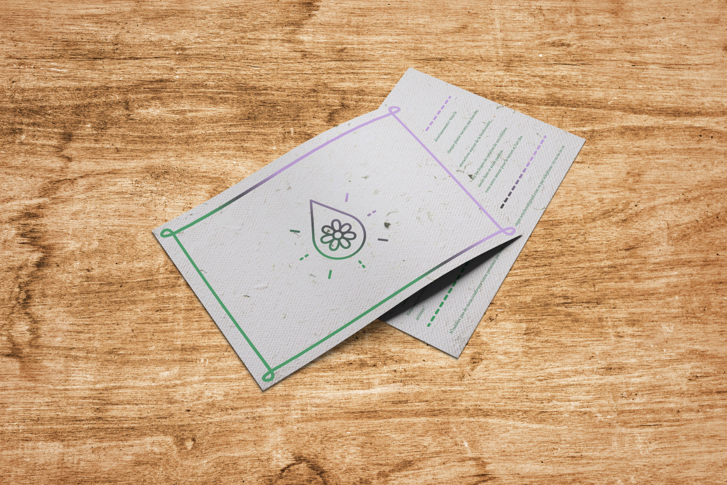 mockup recto