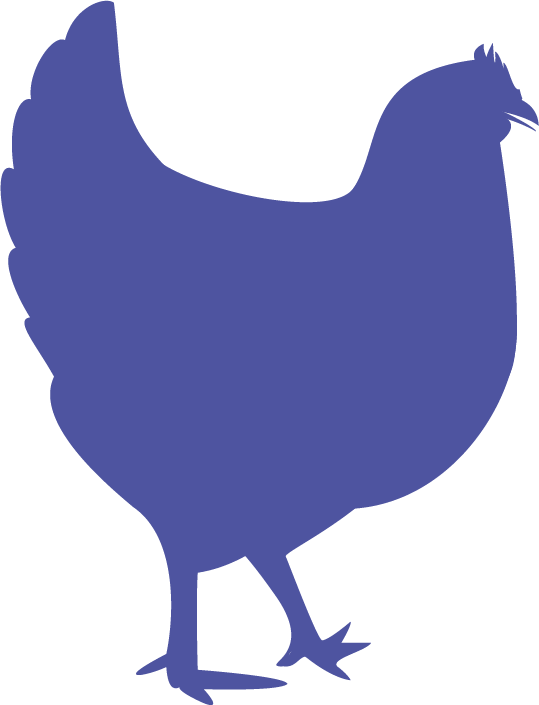 poule