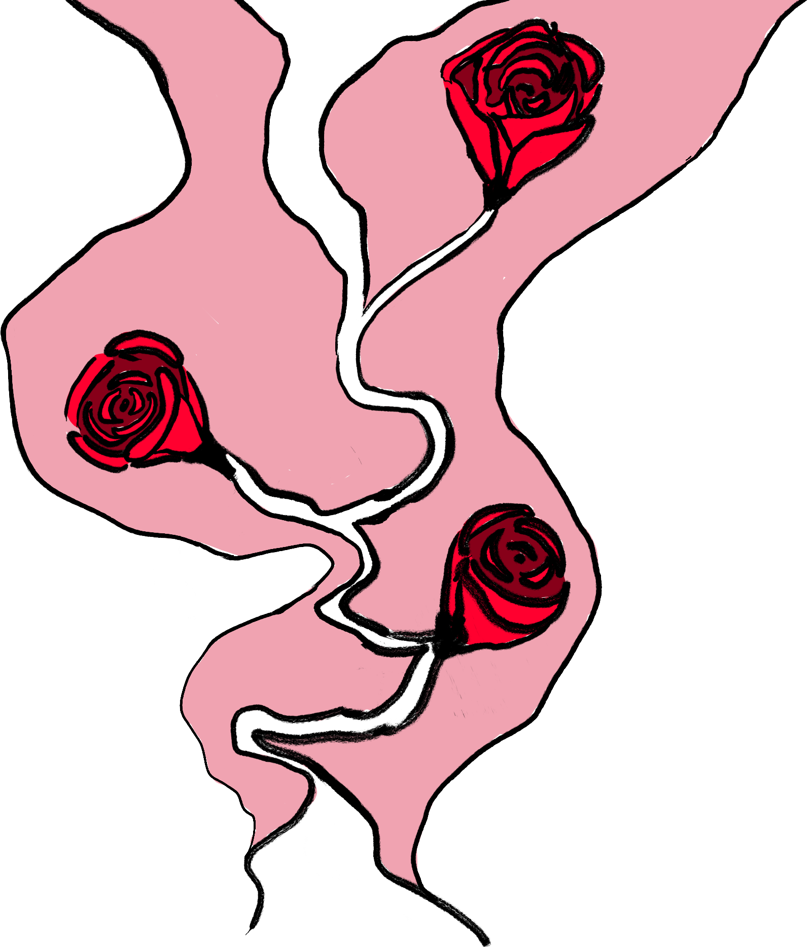 illustation rose